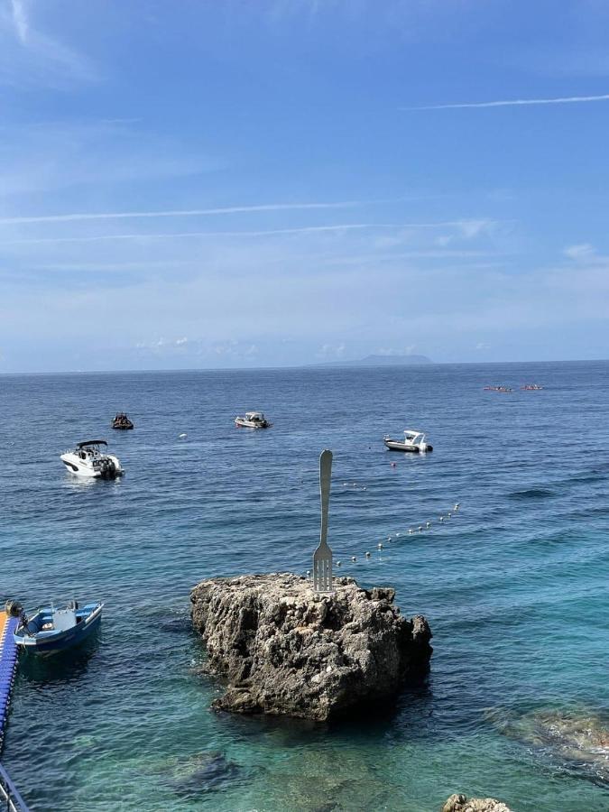 Apartament Monda